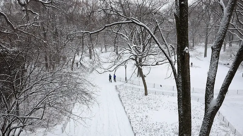 Tormenta Invernal En Nueva York